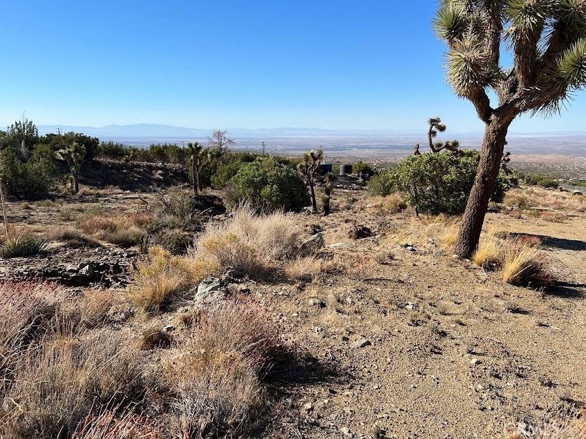 11890 Juniper Hills Property Photo 12