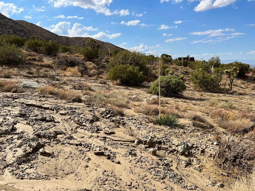 11890 Juniper Hills Property Photo 16
