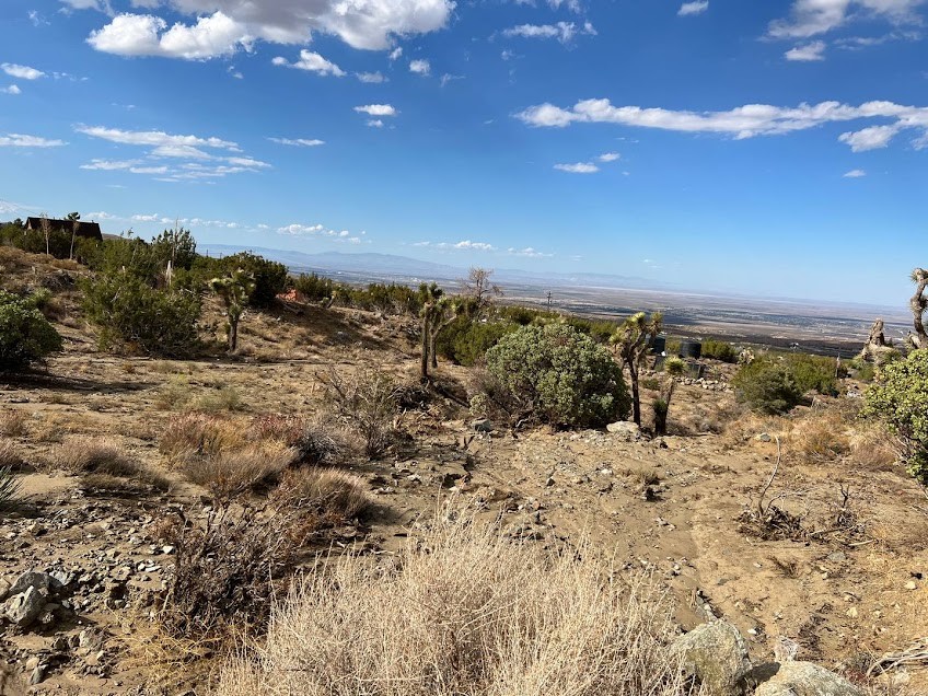 11890 Juniper Hills Property Photo 17