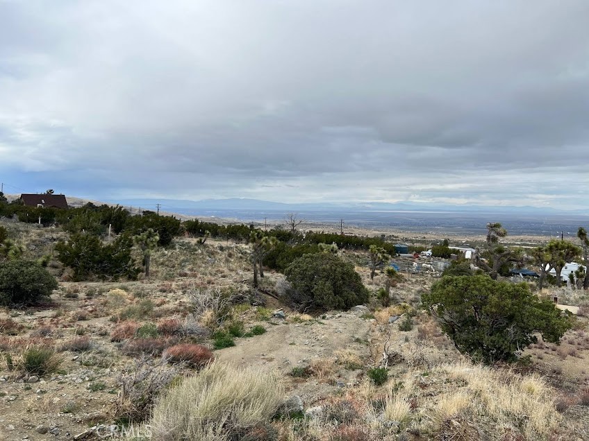 11890 Juniper Hills Property Photo 25