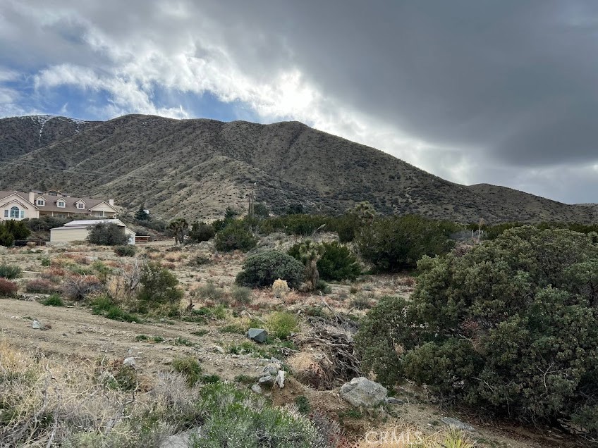 11890 Juniper Hills Property Photo 33