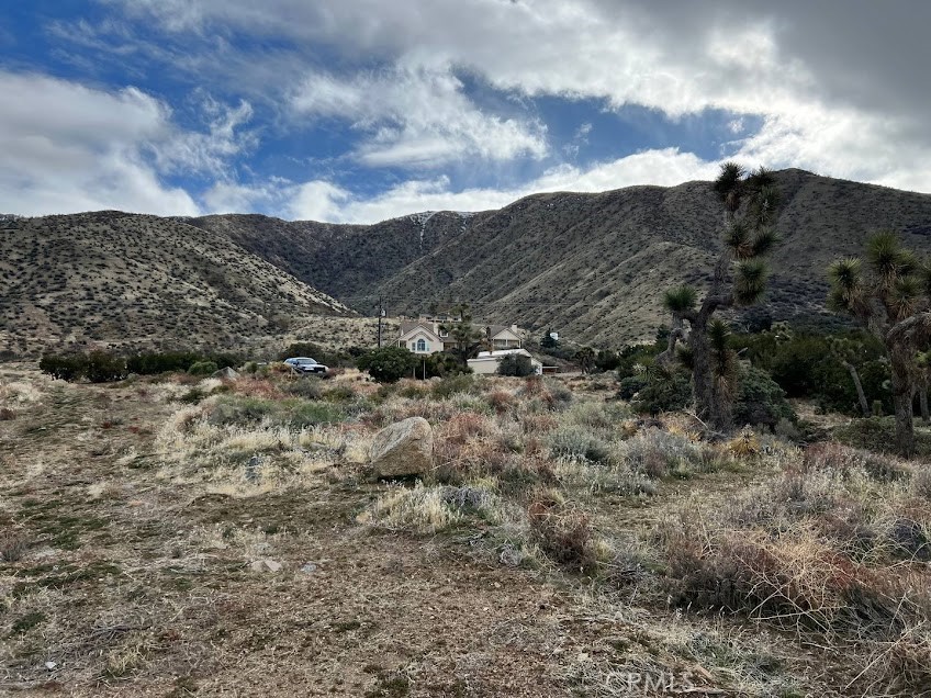 11890 Juniper Hills Property Photo 35