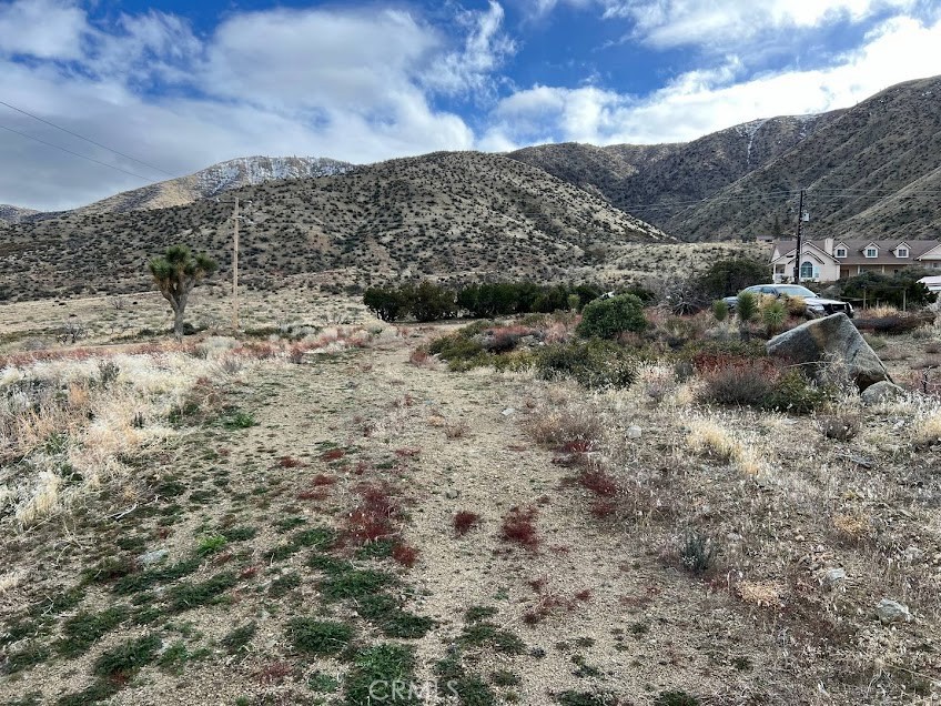 11890 Juniper Hills Property Photo 37