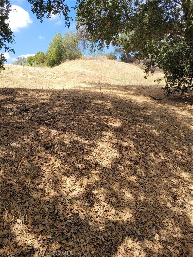 0 San Martinez Rd. Property Photo 3