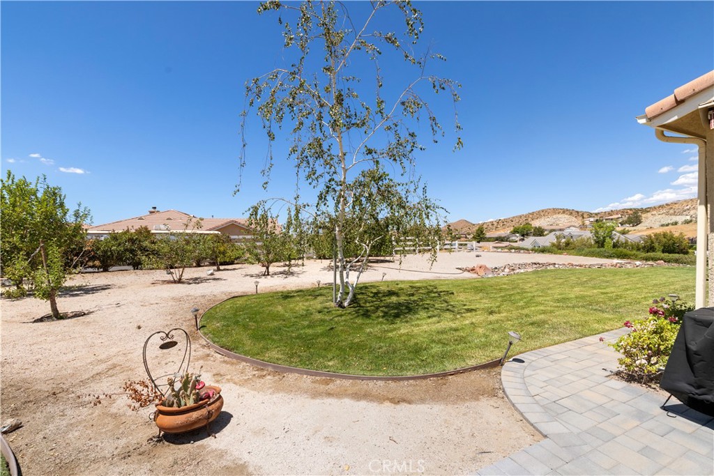 34016 Desert Property Photo 12