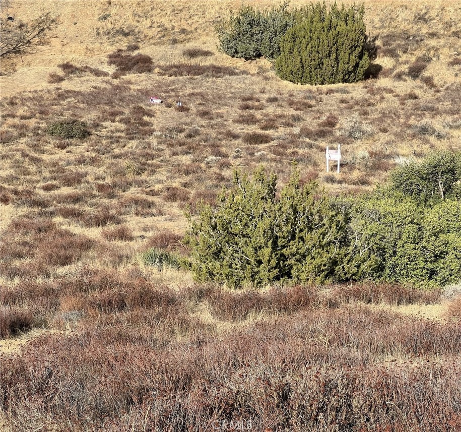 0 Sierra Property Photo 8
