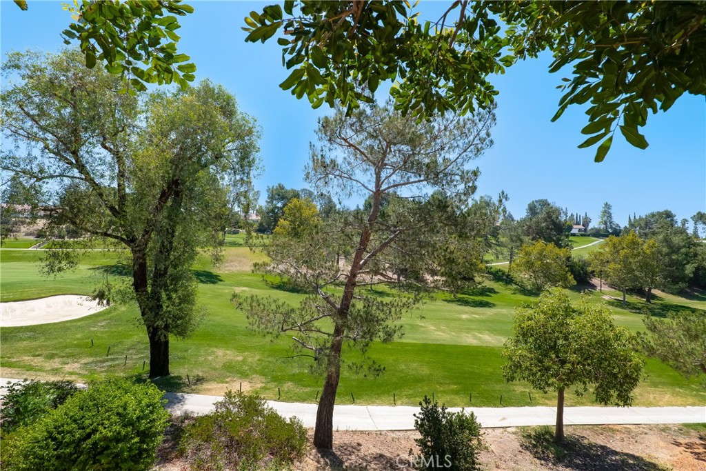 11496 Twin Hills Property Photo 30