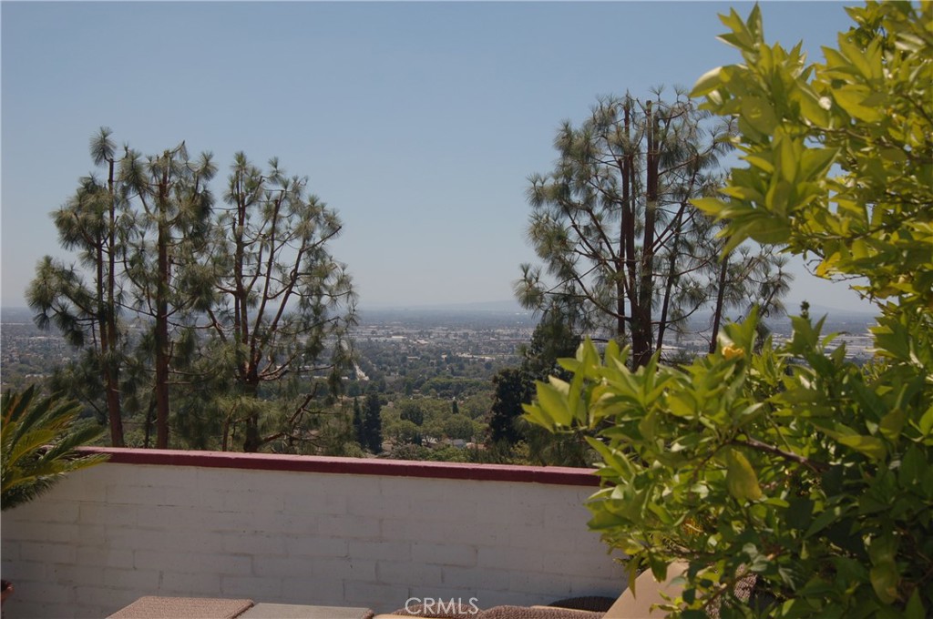13978 Summit Drive Property Photo 7