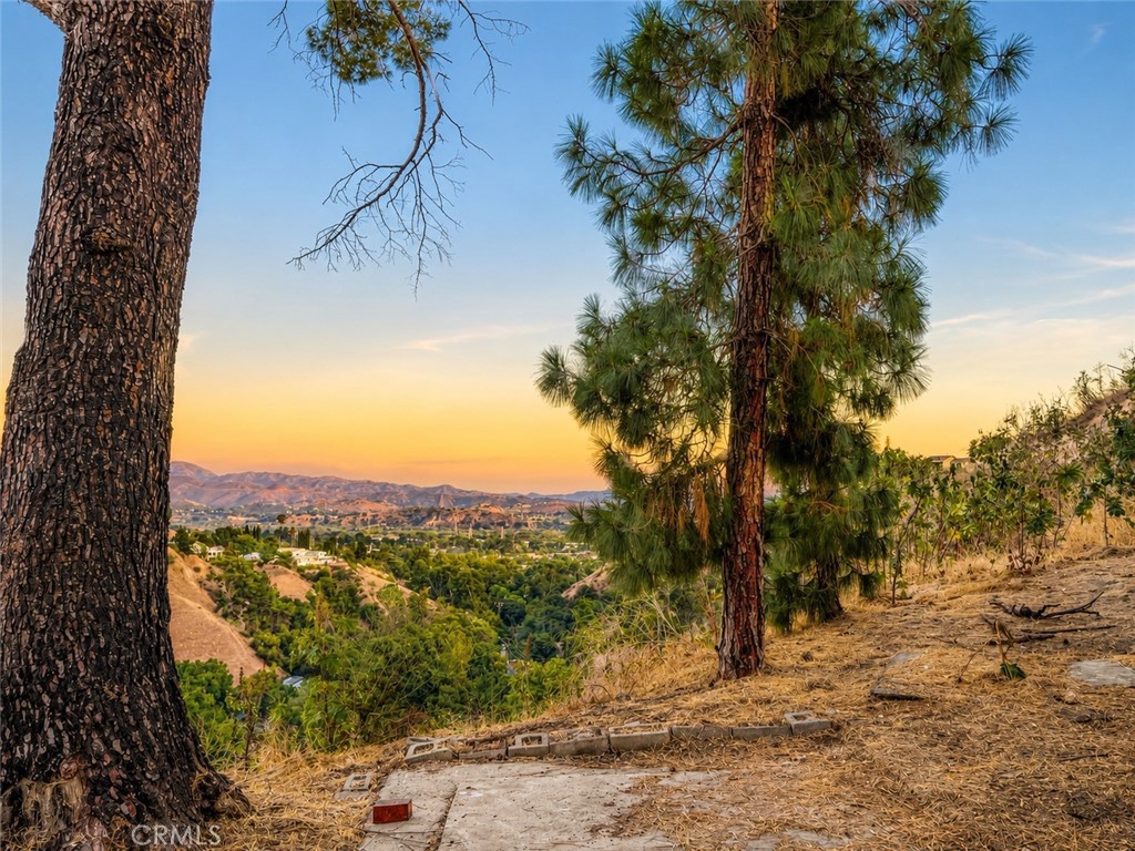 12229 Alta Property Photo 1