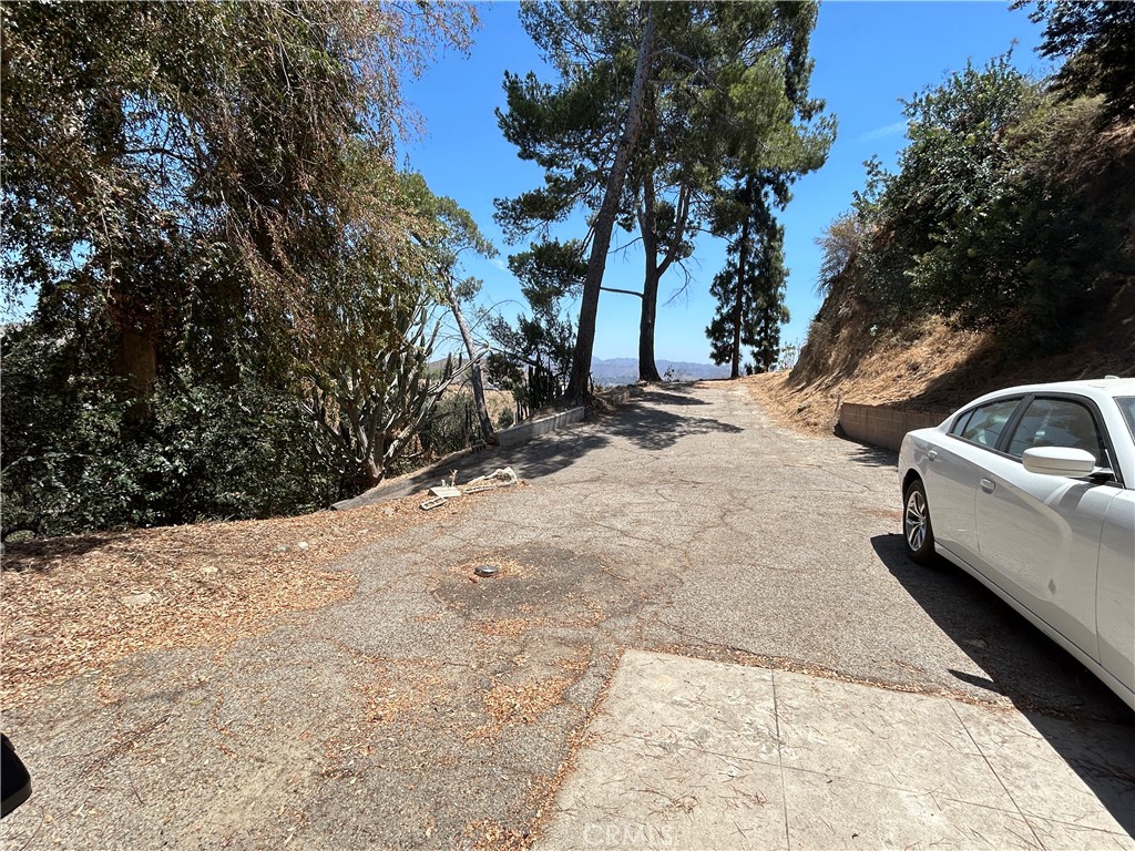 12229 Alta Property Photo 34