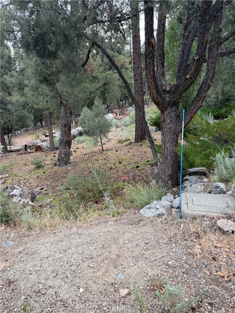 1620 Zion Property Photo 2