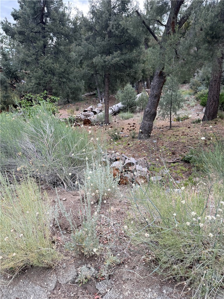 1620 Zion Property Photo 3
