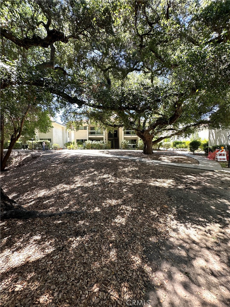 23653 Park Capri Property Photo 22