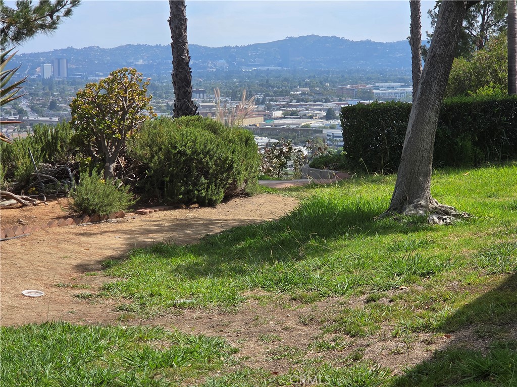 7908 Via Magdalena Property Photo 1