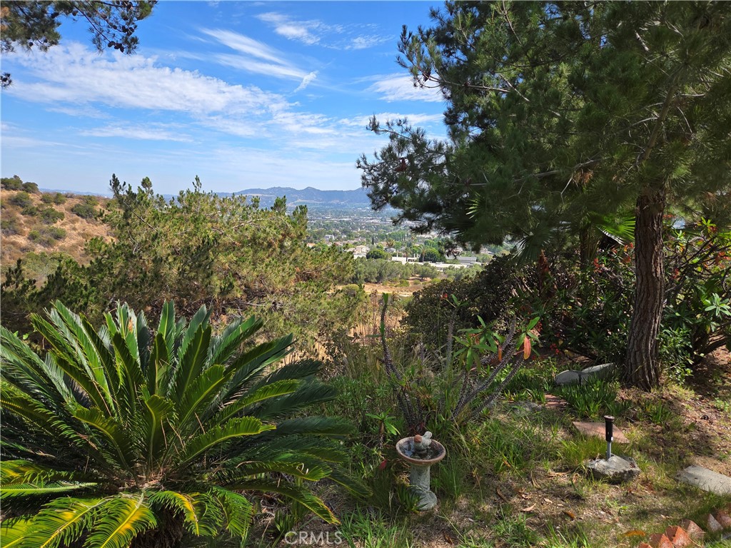 7908 Via Magdalena Property Photo 3