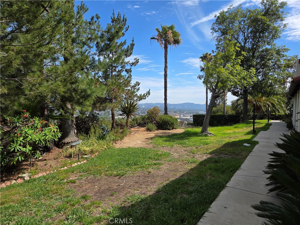 7908 Via Magdalena Property Photo 4