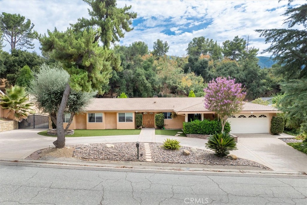 15848 Silver Star Lane Property Photo 2