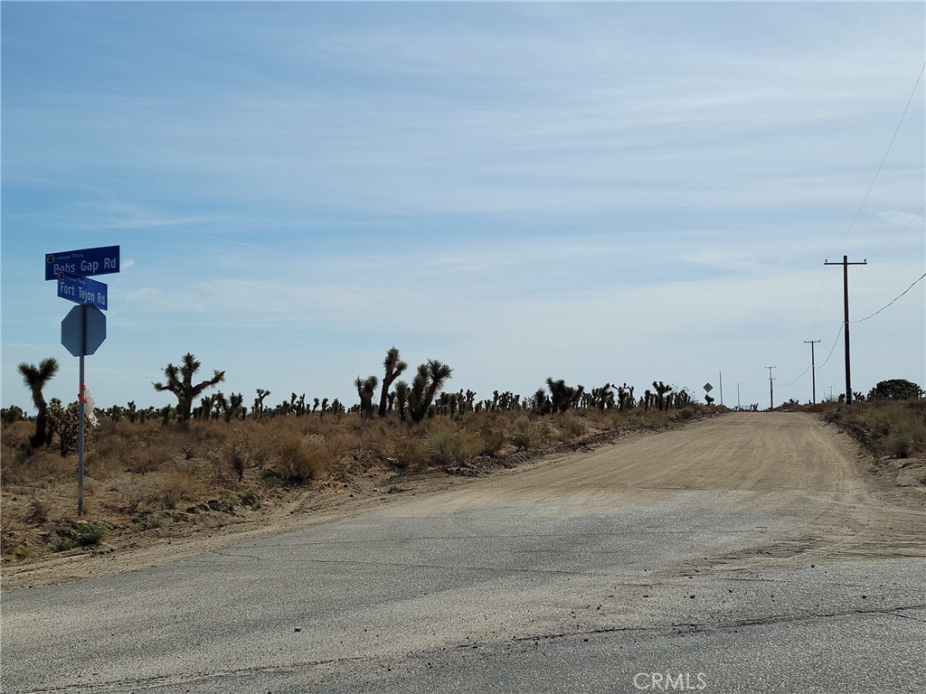 18501 Fort Tejon Road Property Photo 7