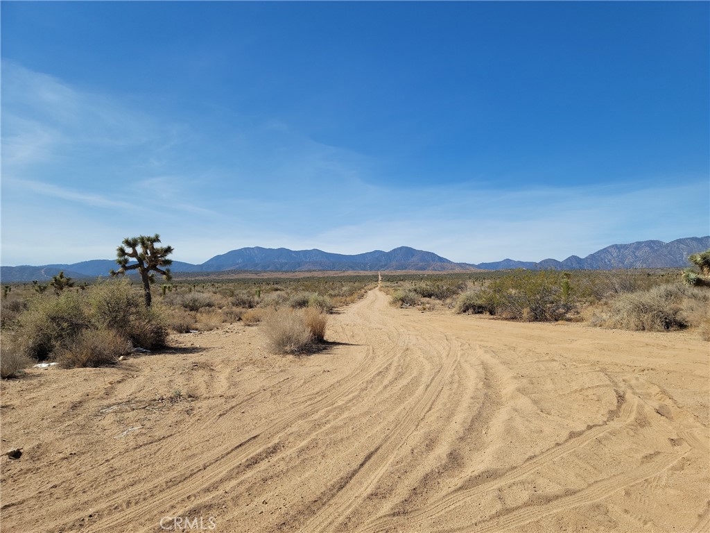 18501 Fort Tejon Road Property Photo 11