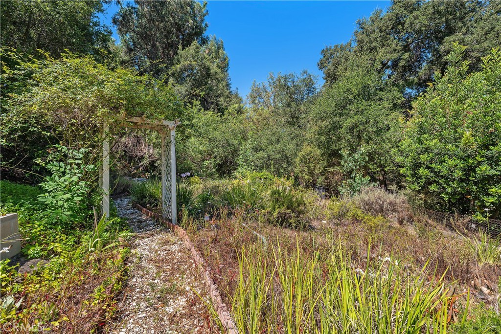 20609 Callon Drive Property Photo 6