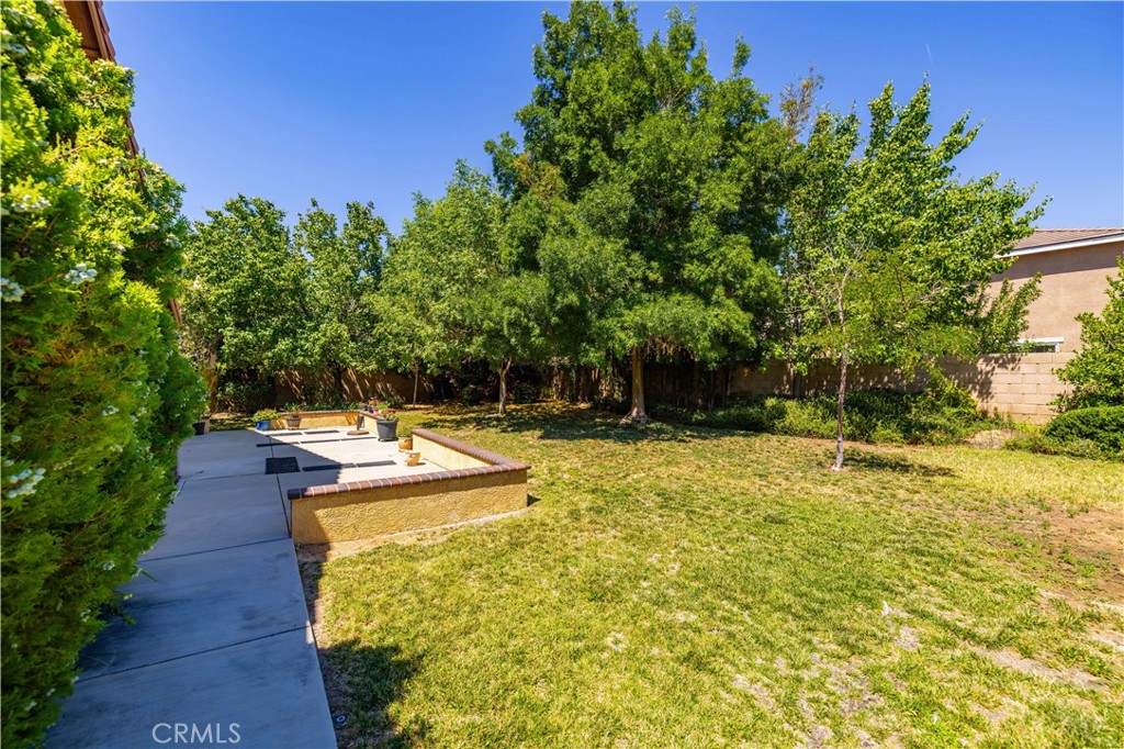 39939 Borica Court Property Photo 33