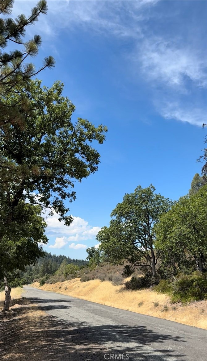 1651 Summit Creek Road Property Photo 3