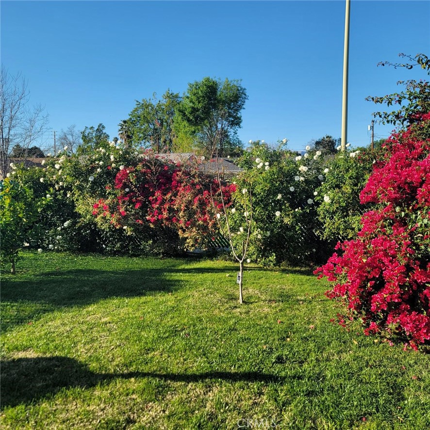 19030 Community Property Photo 26