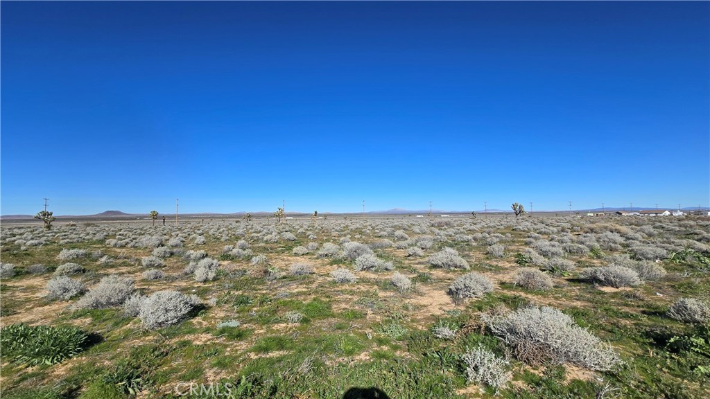 0 Twenty Mule Team Rd Property Photo 10