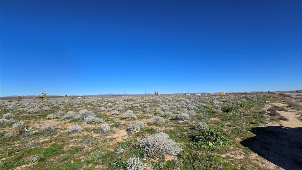 0 Twenty Mule Team Rd Property Photo 11