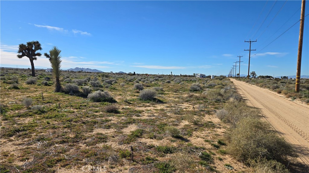 0 Twenty Mule Team Rd Property Photo 17