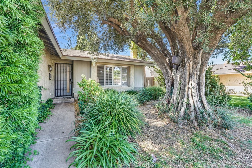 24389 La Glorita Property Photo 3