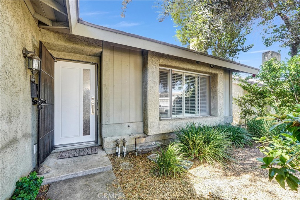 24389 La Glorita Property Photo 4
