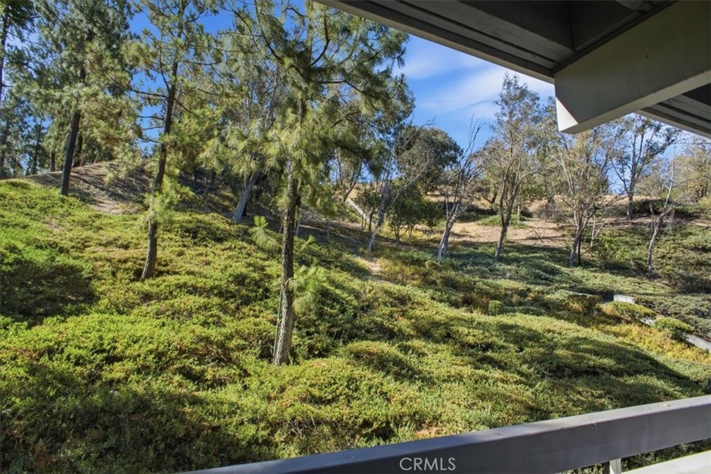 26901 Rainbow Glen Drive 643 Property Photo 8