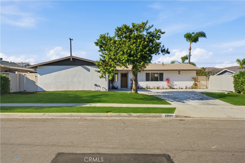 22941 Dry Creek Property Photo 3