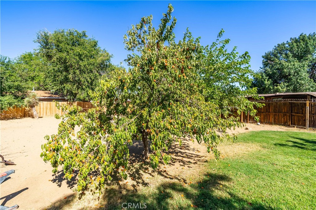 42515 52nd W Property Photo 28