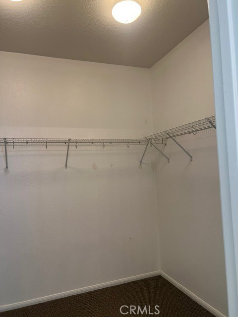 33 Nutwood Avenue Property Photo 18