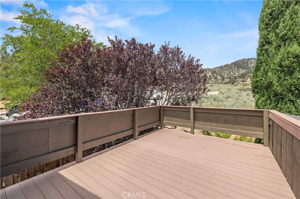 4537 Mt Pinos Way Property Photo 46