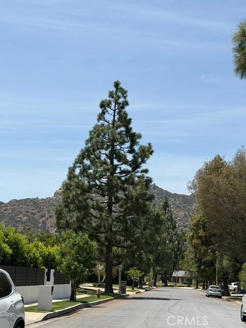 22231 Romar Street Property Photo 41