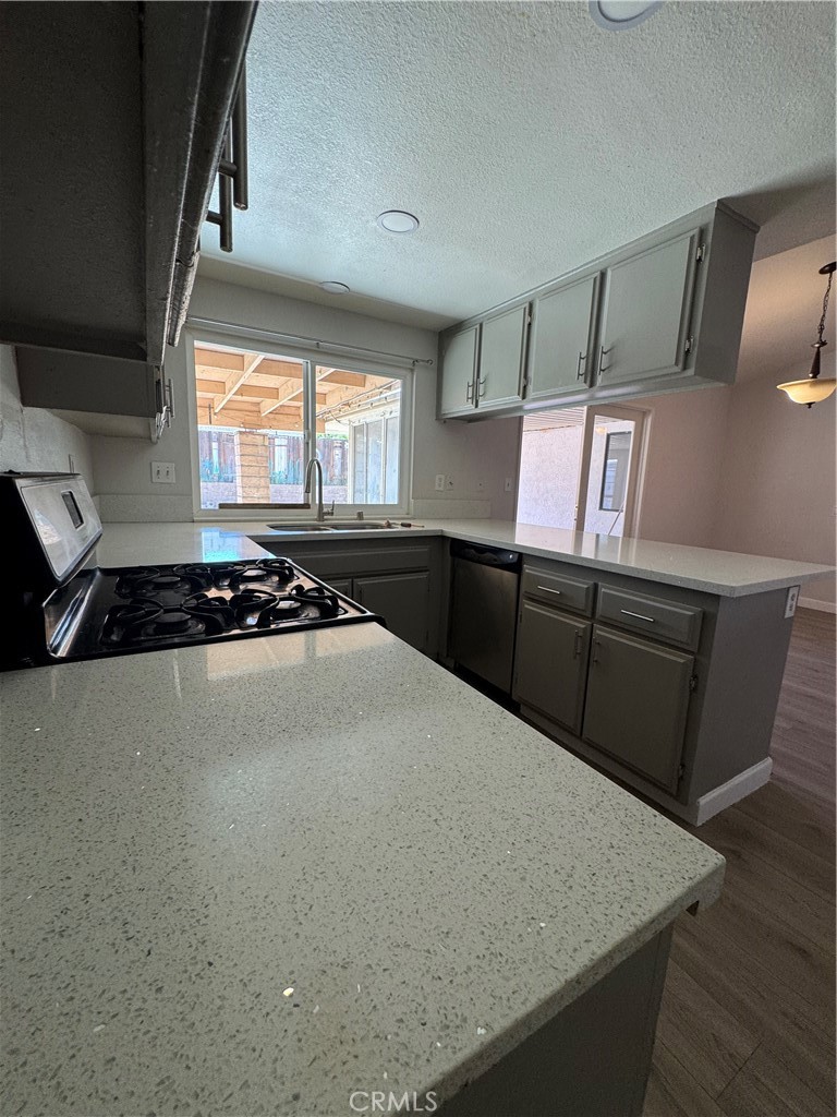 37736 Janus Drive Property Photo 33