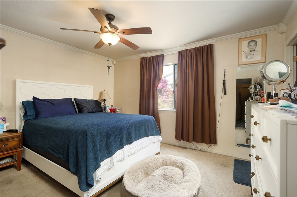 10917 Via Vista Property Photo 10