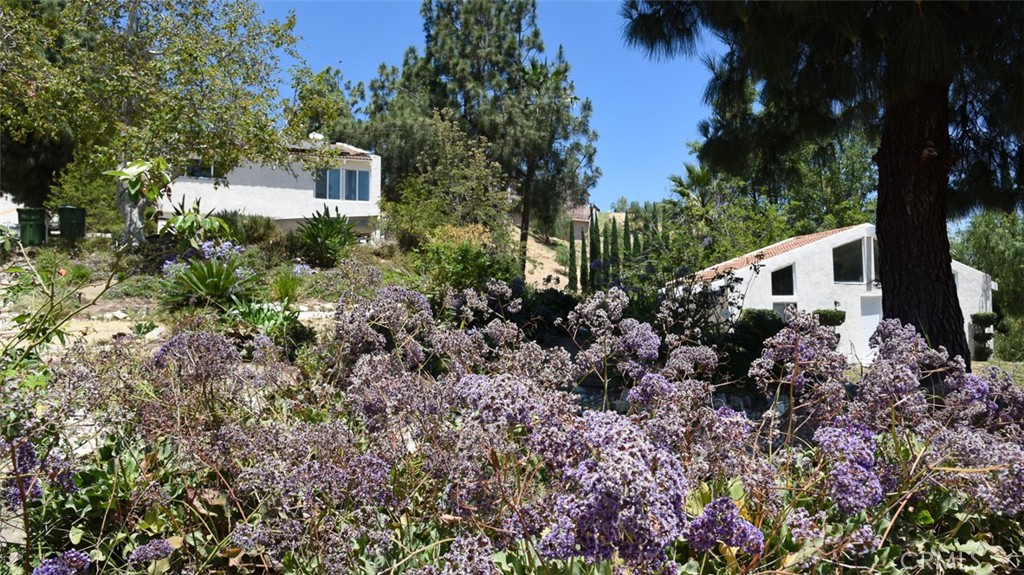 2 Wrangler Property Photo 29