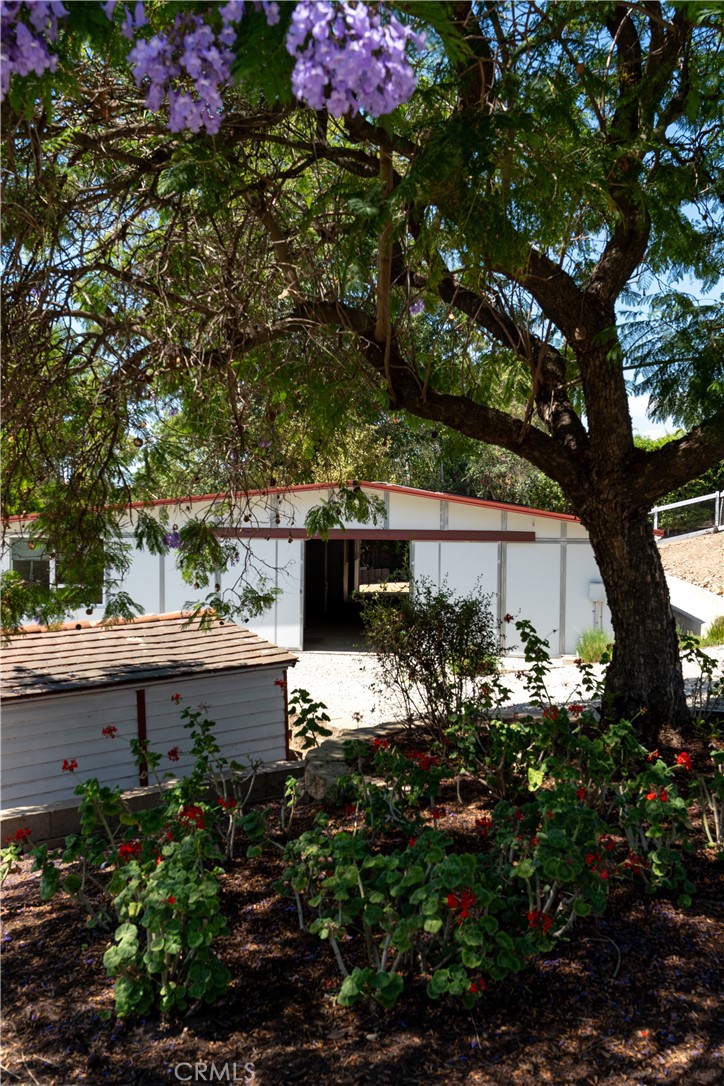 196 Colt Lane Property Photo 42
