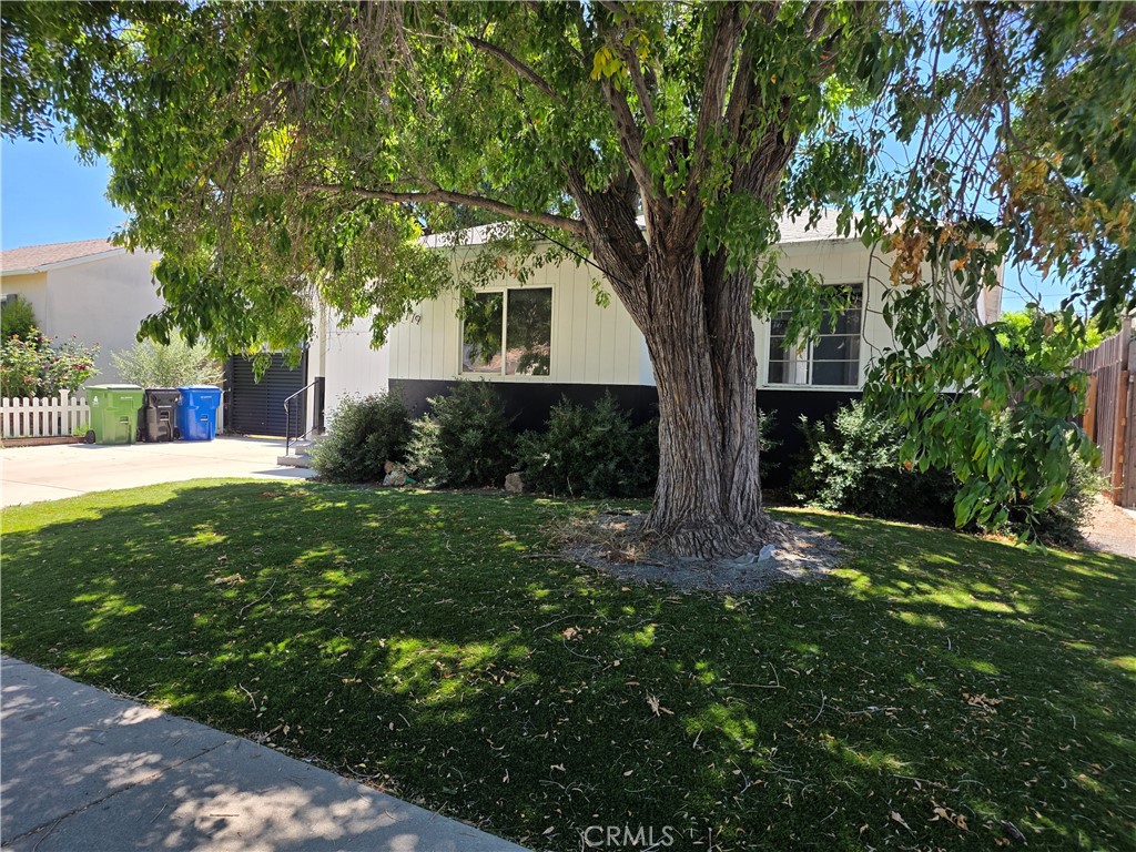 5779 Enfield Property Photo 14