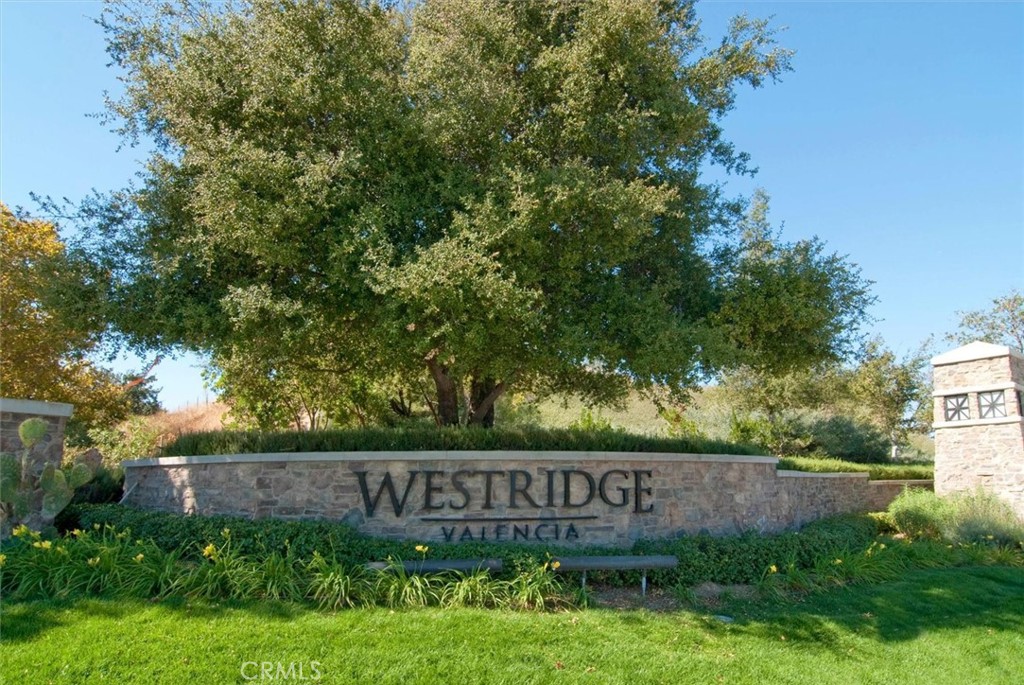 27008 Pebble Beach Drive Property Photo 45