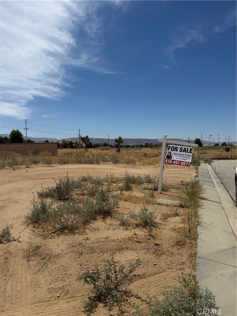 1 Desert Rose Drive Property Photo 11