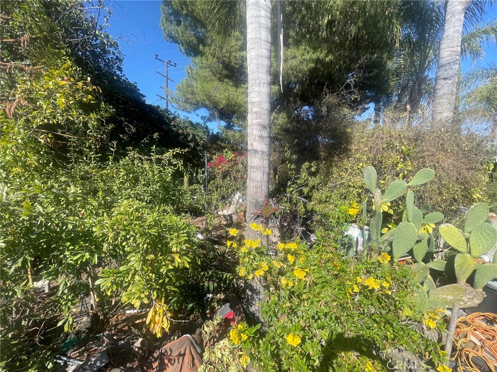 7751 Arvilla Avenue Property Photo 29