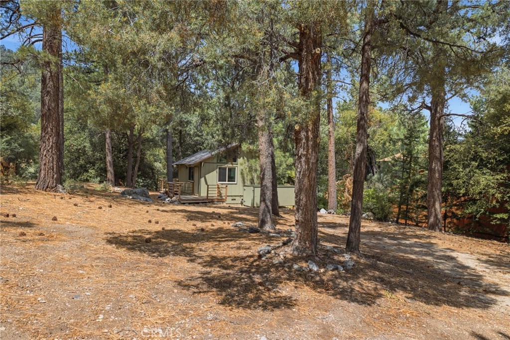 2009 Bernina Property Photo 23