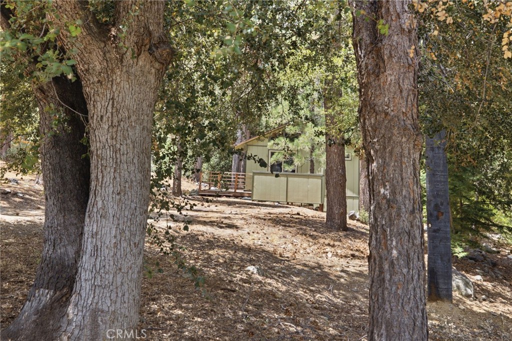 2009 Bernina Property Photo 28