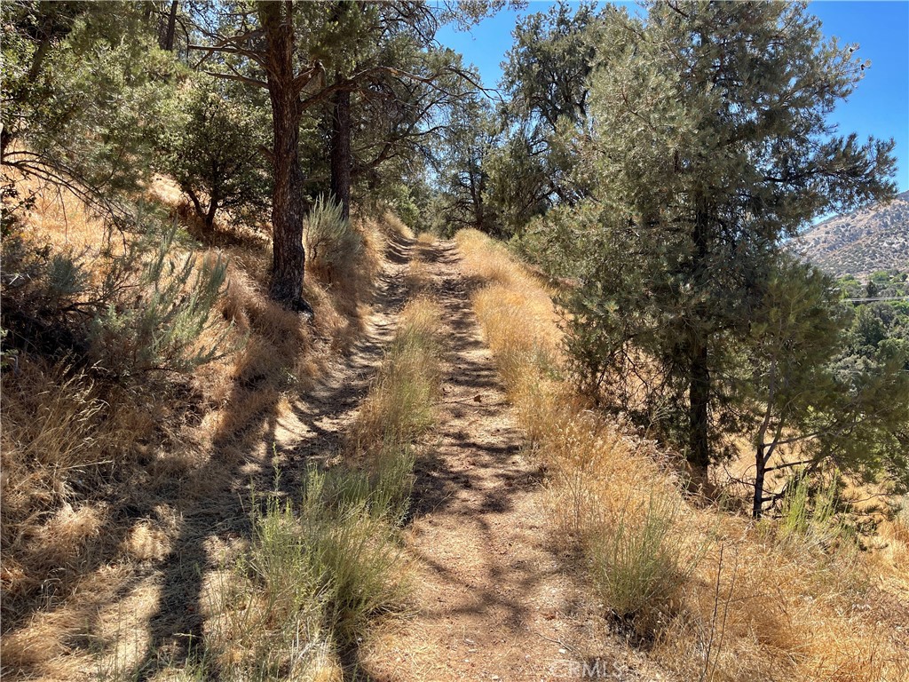 0 Short Trail Property Photo 1