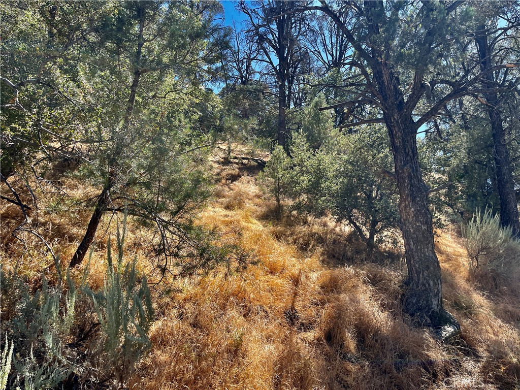 0 Short Trail Property Photo 2